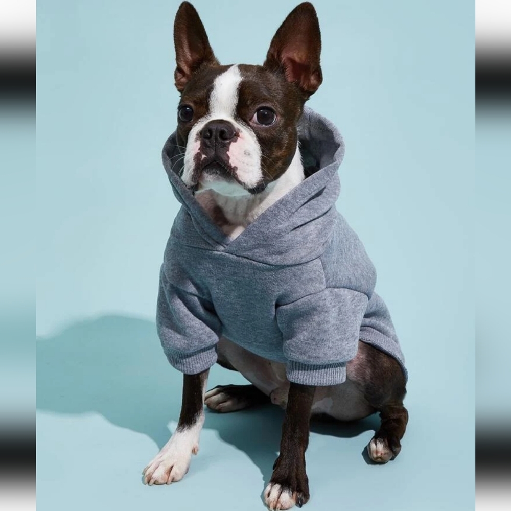 NWT CHAMPION FLEECE HOODIE GREY Small Medium